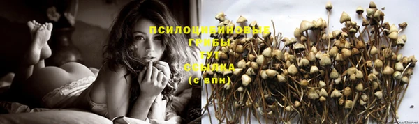 кокс Магадан
