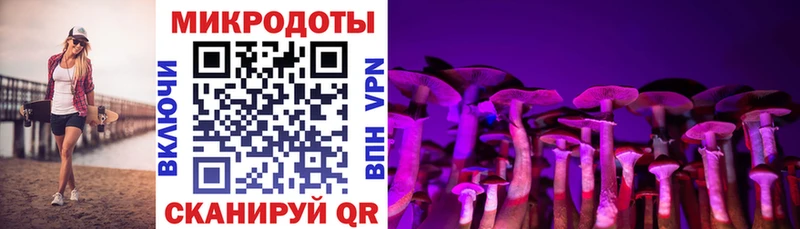 закладка  Шимановск  Псилоцибиновые грибы прущие грибы 