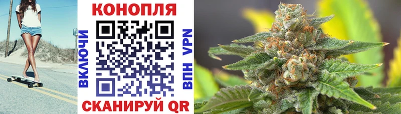 Бошки Шишки тримм  Шимановск 